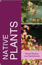 Native Plants 24