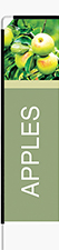 Apples Feather Flag - Rectangle