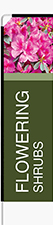Flowering Shrubs Feather Flag - Rectangle