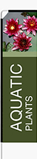 Aquatic Plants Feather Flag - Rectangle