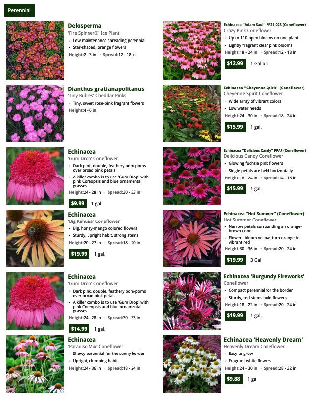 Catalog Pages Catalog Pages