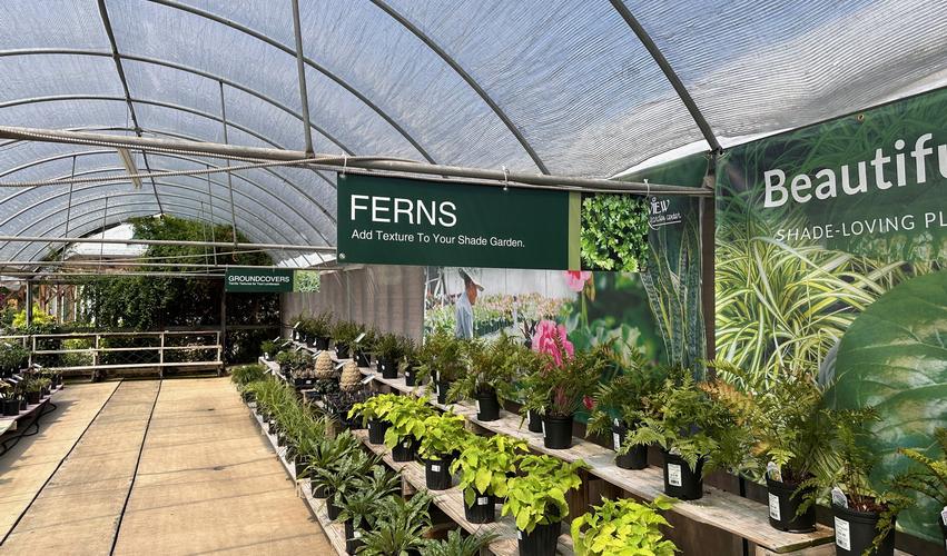 Customer Spotlight: Fairview Garden Center