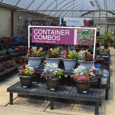 47x12 Container Combos-Bold-Pottery Signs in Background