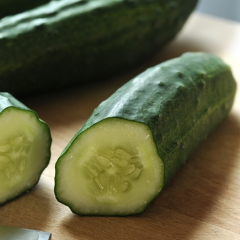 Cucumis sativus 'Patio Snacker' (119150)