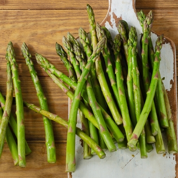 Asparagus officinalis 'Mary Washington' (126475)