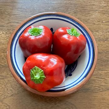 Capsicum annuum 'Snackabelle' (266926)