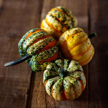 Cucurbita pepo 'Thriller' (279273)