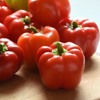 Capsicum annuum 'Prism' (280346)