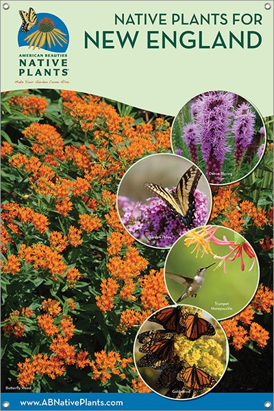 Native Plants for New England 24"x36" VINYL Single Sided ...