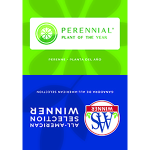 Sign Topper: Perennial Plant of the Year / AAS Winner