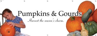 Pumpkins & Gourds 8x3 - Traditional