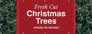 Christmas Trees (Fresh Cut) 8x3 - Bold